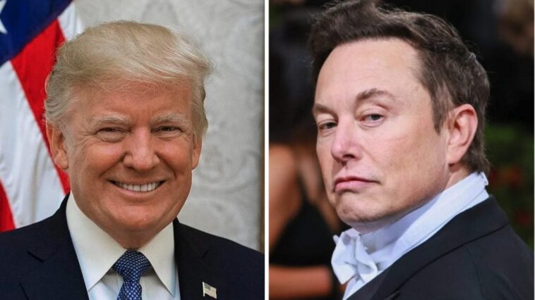 Entre Musk et Trump, la première fracture est déjà là : que savons-nous sur l'affaire Stargate ? 1 Image