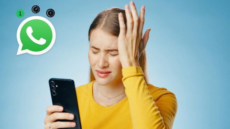 Que signifient tous les cercles qui apparaissent sur WhatsApp 1 Que signifient tous les cercles qui apparaissent sur WhatsApp