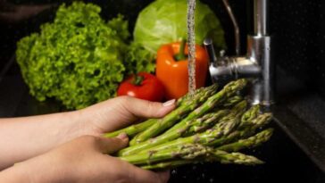 Qu'est Ce Que La Listériose, L'infection Causée Par La Bactérie Listeria Trouvée Dans La Salade Emballée Symptômes Et Traitement
