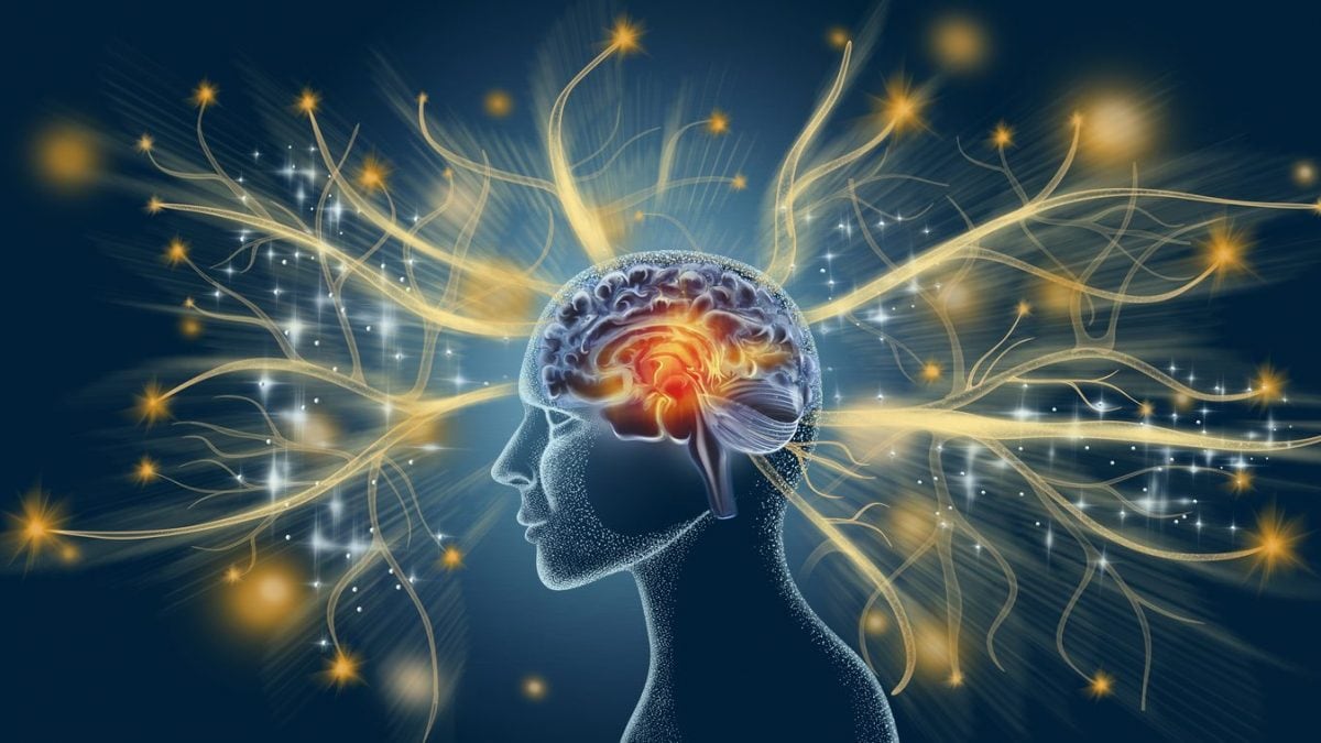 Qu'est-ce que le TDAH, le trouble du déficit de l'attention avec hyperactivité et que se cache-t-il derrière l'augmentation des cas 2 Image