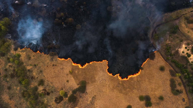 Un réseau de satellites pour détecter les incendies de forêt n'importe où dans le monde : le plan ambitieux que Google a déjà mis en œuvre 2 Un réseau de satellites pour détecter les incendies de forêt n'importe où dans le monde : le plan ambitieux que Google a déjà mis en place