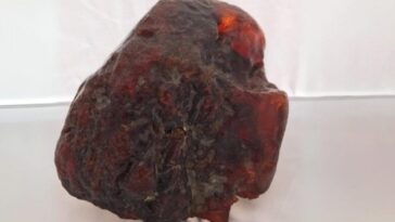 Musée du comté de Buzău | Photo du morceau de rumanite d'un million d'euros