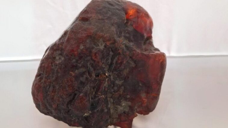 Une femme utilise une étrange pierre rouge comme porte-documents : après sa mort, on découvre que c'est un trésor 1 Musée du comté de Buzău | Photo du morceau de rumanite d'un million d'euros