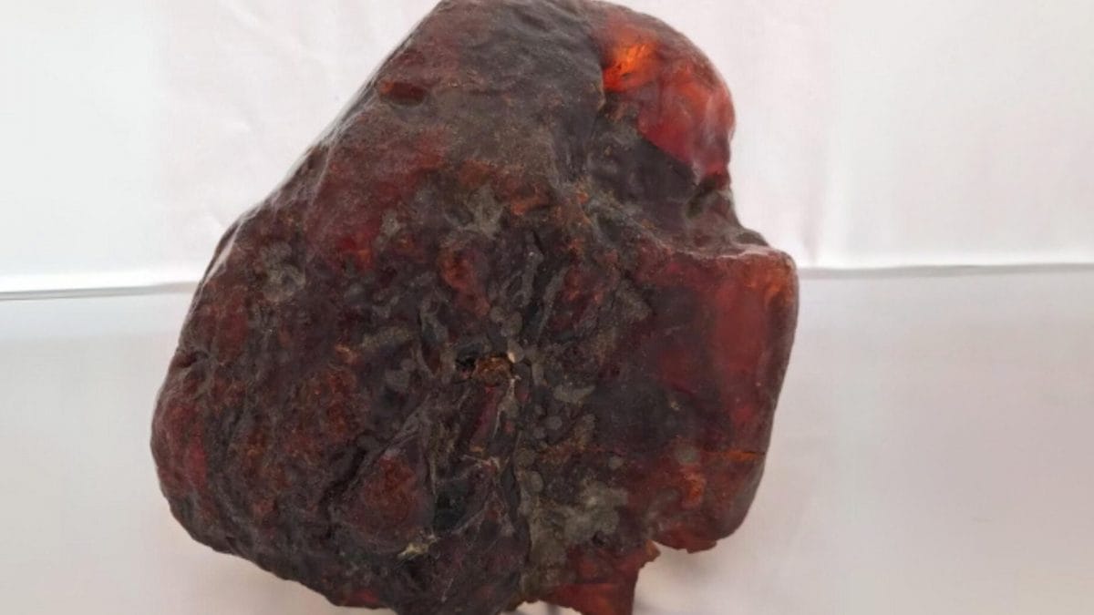 Une femme utilise une étrange pierre rouge comme porte-documents : après sa mort, on découvre que c'est un trésor 2 Musée du comté de Buzău | Photo du morceau de rumanite d'un million d'euros