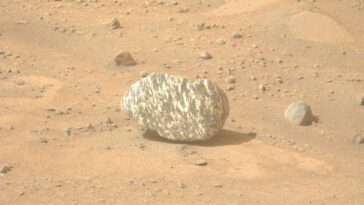Misteriosa roccia zebrata trovata su Marte dal rover Perseverance: “È qualcosa di mai visto prima”