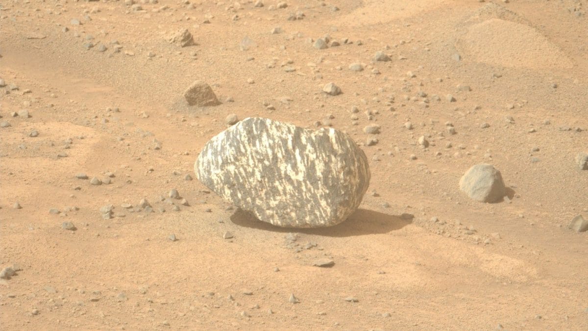 Une mystérieuse roche zébrée trouvée sur Mars par le rover Perseverance : "C'est quelque chose de jamais vu auparavant" 2 La strana "roccia zebra" scoperta su Marte. Credit: NASA/JPL-Caltech/ASU
