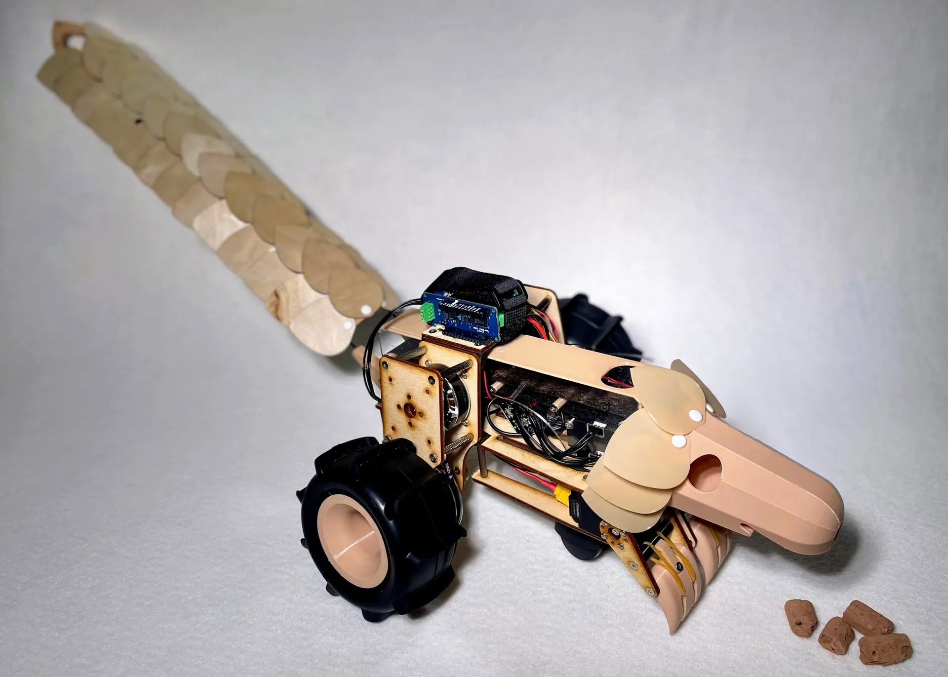 Le robot le plus fou jamais inventé pour lutter contre le changement climatique : un pangolin qui défèque des graines 3 plantolin robot pangolin