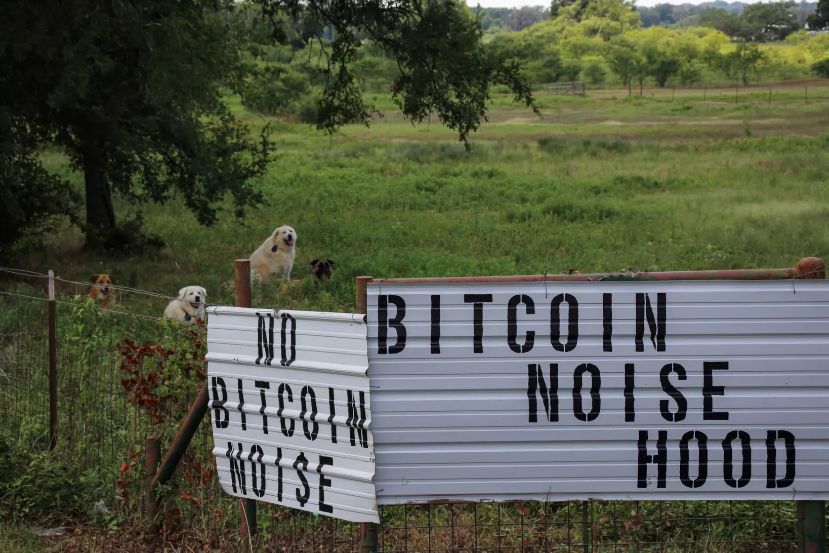 Installation de minage de Bitcoin poursuivie pour pollution sonore au Texas 3 1728330774 146 Installation de minage de Bitcoin poursuivie pour pollution sonore au