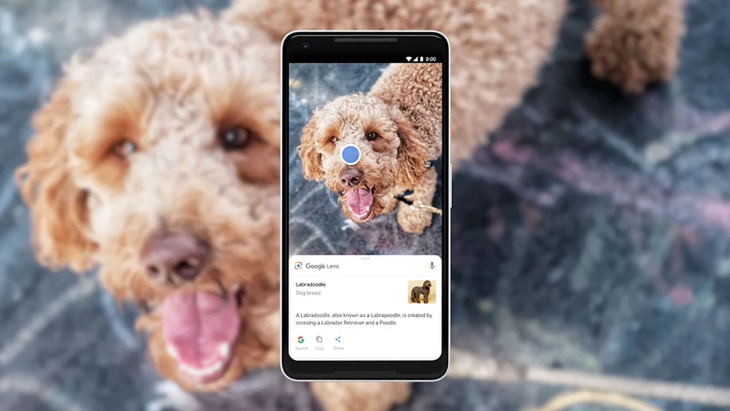Les meilleures 4 applications pour identifier des objets avec le mobile 3 Identificateur Google Lens