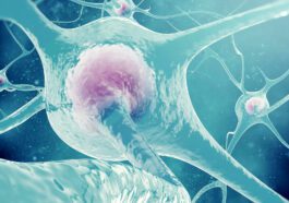 Environmental factors and personal behavior can affect brain activity for up to two weeks