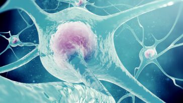 Les facteurs environnementaux et le comportement personnel peuvent affecter l'activité cérébrale pendant jusqu'à deux semaines 11 Environmental factors and personal behavior can affect brain activity for up to two weeks