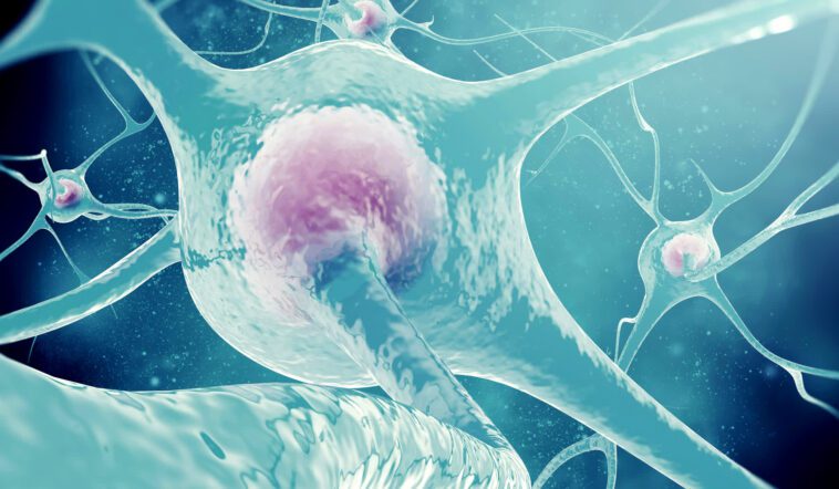 Les facteurs environnementaux et le comportement personnel peuvent affecter l'activité cérébrale pendant jusqu'à deux semaines 1 Environmental factors and personal behavior can affect brain activity for up to two weeks