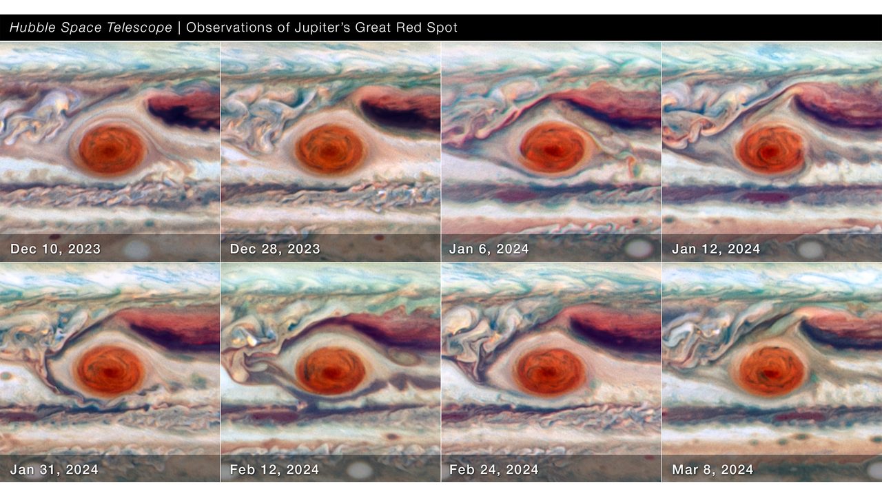 Le mystère de la Grande Tache Rouge de Jupiter : personne ne parvient à comprendre pourquoi elle continue à changer de forme 5 Huit images de la Grande Macchia Rossa de Jupiter qui montrent comment la tempête anticyclonique change durant un cycle d'oscillation de 90 jours / Crédit : NASA, ESA, Amy Simon (NASA-GSFC) - Élaboration image : Joseph DePasquale (STScI)
