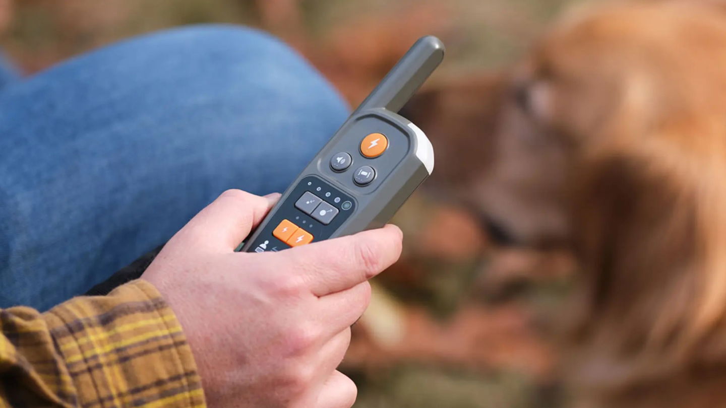 Ils ont inventé une laisse virtuelle qui fonctionne de manière surprenante. Fini les enchevêtrements avec votre chien