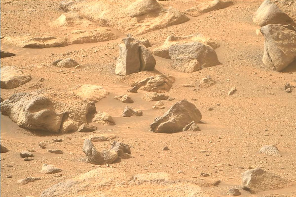 L'image de la surface de Mars prise par la Mastcam-Z du rover Perseverance : parmi les roches émergeant en surface, une semble rappeler un « visage humain » / Crédit : NASA/JPL-Caltech/ASU