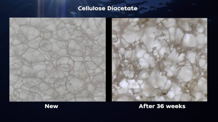 Ce nouveau type de plastique se décompose dans l'océan plus rapidement que le papier lui-même 4 Une image microscopique du CDA modifié avant et après 36 semaines dans l'eau de mer. Crédit : Bryan James, Woods Hole Oceanographic Institution