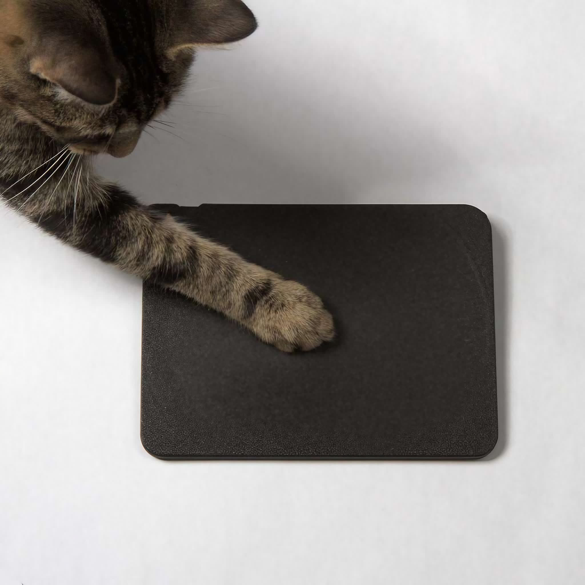 Le trackpad open-source de Ploopy est extrêmement personnalisable, conçu pour les bricoleurs 3 1729350944 995 Le trackpad open source de Ploopy est extremement personnalisable concu pour