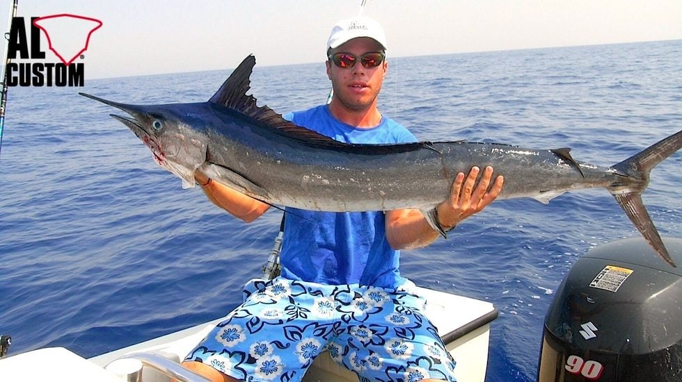 Pourquoi le poisson épée a attaqué Giulia Manfrini, la surfeuse italienne : "C'est un cas très rare" 3 WIKIMEDIA | Un exemplaire de Tetrapturus belone