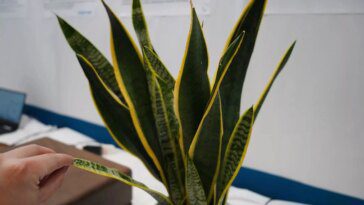 Capacitive sensing transforms everyday materials into interactive surfaces