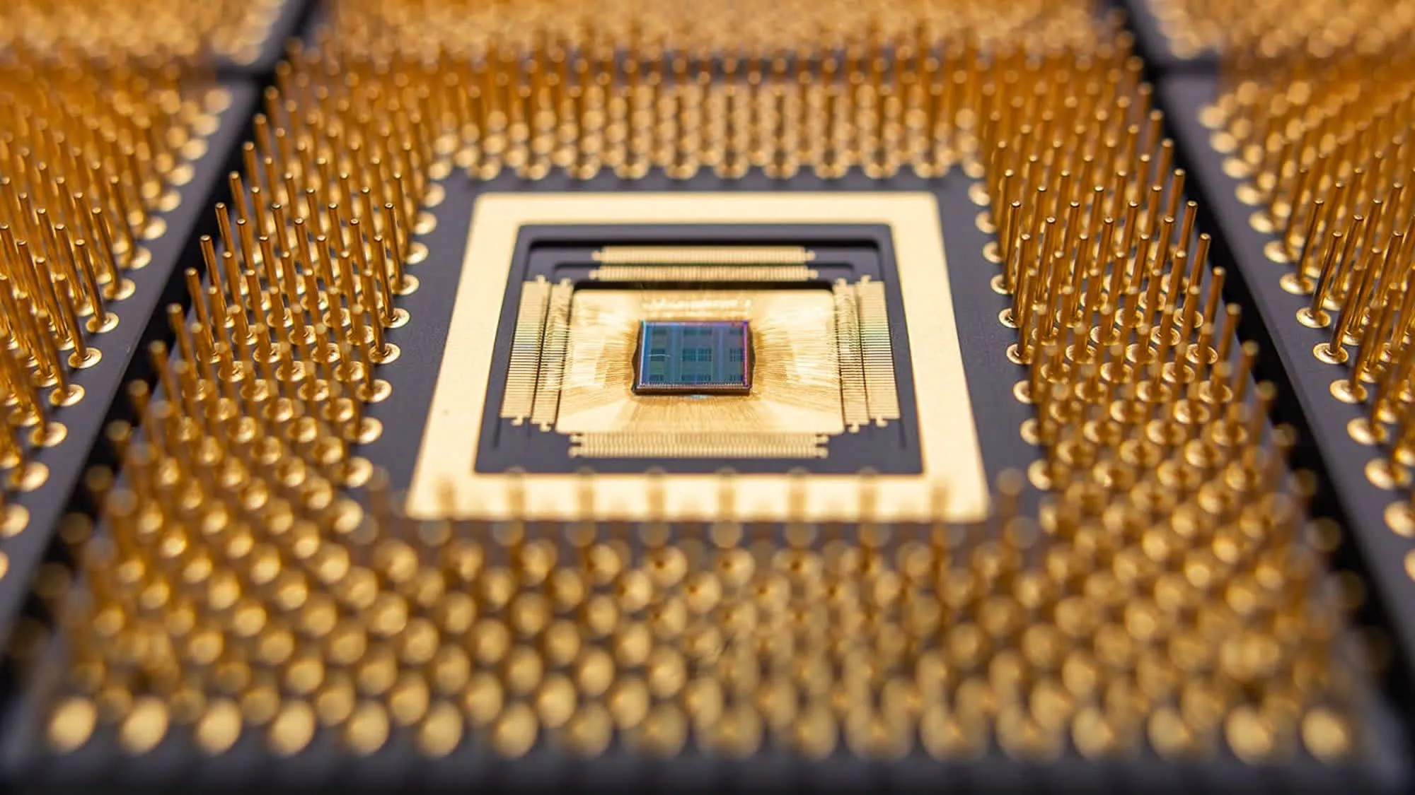 Nvidia explores partnership with India for custom AI chip development