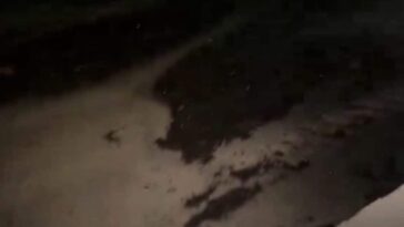 Avant l'ouragan Milton, l'eau de l'océan avait commencé à se retirer : qu'indique ce signal 30 Immagine
