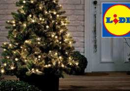 Ce produit pour illuminer votre maison connaît un grand succès chez Lidl : il y a des files d'attente pour l'acheter