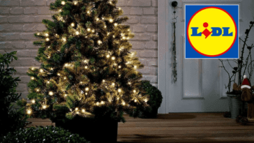 Ce produit pour éclairer ta maison fait fureur au Lidl : il y a des files d'attente pour l'acheter 19 Ce produit pour illuminer votre maison connaît un grand succès chez Lidl : il y a des files d'attente pour l'acheter