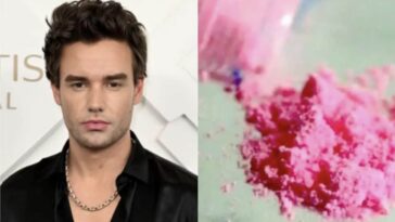 Mort de Liam Payne, d'où vient la cocaïne rose : le lien avec les fils d'El Chapo 23 Immagine