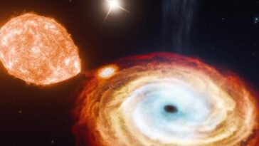Découverte d'un trou noir à trois éléments : une révolution pour notre compréhension de l'astronomie 16 MIT | Une interprétation artistique du trou noir binaire V404 Cygni, crédits Jorge Lugo