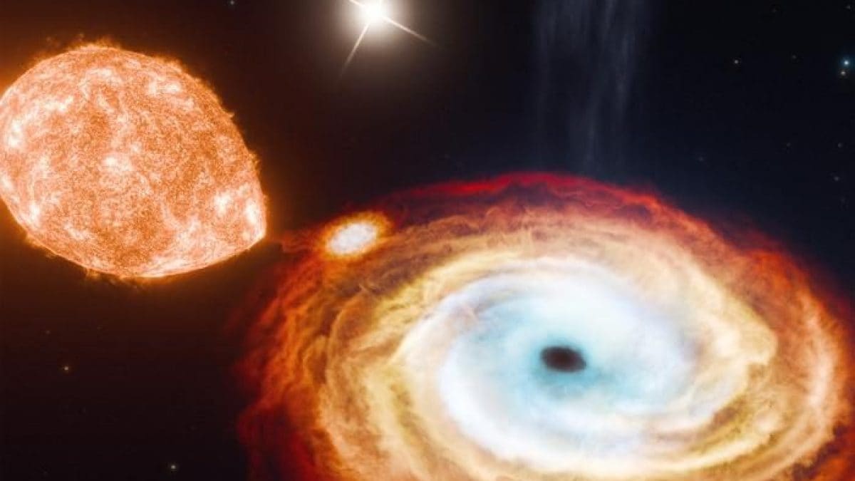 Découverte d'un trou noir à trois éléments : une révolution pour notre compréhension de l'astronomie 2 MIT | Une interprétation artistique du trou noir binaire V404 Cygni, crédits Jorge Lugo