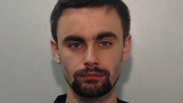 Étudiant en design crée des images pédopornographiques avec l'IA : condamné à 18 ans de prison 19 Immagine