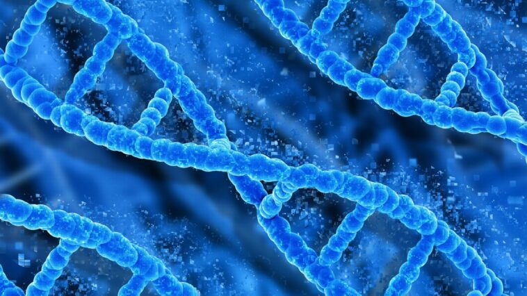 Identifiez six gènes associés à différents types de cancer : parmi eux, le mélanome et le cancer du côlon 1 Image
