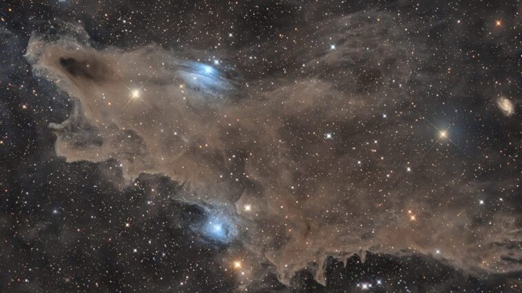 La Nébulose Requin "mord" le ciel de Calabre : la merveilleuse photo de Gianni Lacroce 1 La Nebulosa Squalo. Crédit : Gianni Lacroce