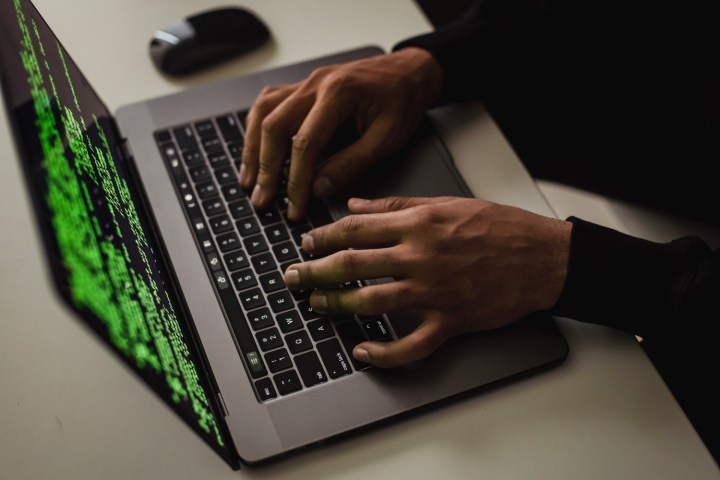 La Wayback Machine a été piratée, et internet n'est pas content 2 Une personne utilisant un ordinateur portable avec un ensemble de codes visible à l'écran.