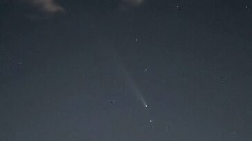 La comète du siècle brille dans une vidéo en timelapse : les images des ciels italiens 29 La cometa del secolo brilla in un video time lapse: le immagini dai cieli italiani