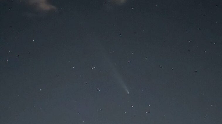 La comète du siècle brille dans une vidéo en timelapse : les images des ciels italiens 1 La cometa del secolo brilla in un video time lapse: le immagini dai cieli italiani