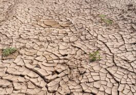 La crise climatique assèche les rivières à un rythme effrayant et déclenche des inondations : l'alerte de l'OMM 1 Immagine