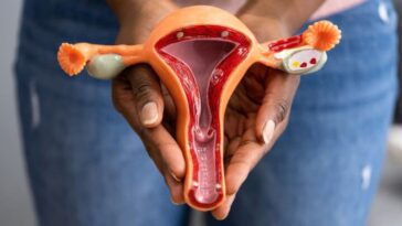 La première vaccin du monde contre le cancer de l'ovaire pourrait éradiquer la maladie 17 Image illustrative des ovaires