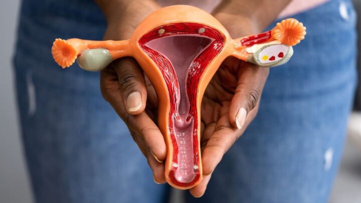 La première vaccin du monde contre le cancer de l'ovaire pourrait éradiquer la maladie 2 Image illustrative des ovaires