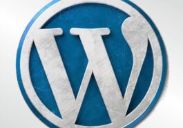 Does the ongoing feud between Automattic and WP Engine threaten the future of open source?