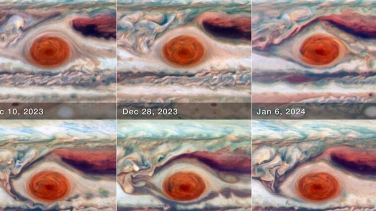 Le mystère de la Grande Tache Rouge de Jupiter : personne ne parvient à comprendre pourquoi elle continue à changer de forme 1 La Grande Macchia Rossa de Jupiter est la tempête anticyclonique la plus grande du Système solaire / Crédit : NASA, ESA, Amy Simon (NASA-GSFC) - Élaboration image : Joseph DePasquale (STScI)