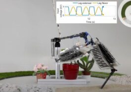 Le nouveau saut en robotique est une jambe qui peut sauter plus que vous ne l'imaginez