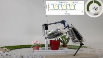 Le nouveau saut en robotique est une jambe qui peut sauter plus que vous ne l'imaginez 14 Le nouveau saut en robotique est une jambe qui peut sauter plus que vous ne l'imaginez