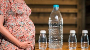 Les microplastiques absorbés pendant la grossesse se déposent dans les tissus du fœtus et persistent après la naissance 7 Image