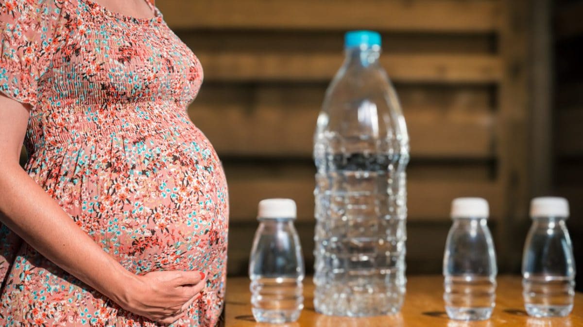 Les microplastiques absorbés pendant la grossesse se déposent dans les tissus du fœtus et persistent après la naissance 2 Image