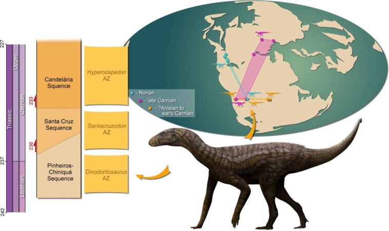 Les restes d'un silesauridé découverts au Brésil : est-ce un dinosaure ancestral ou un ancien parent d'eux 1 Credit: Gondwana Research