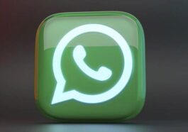 Les thèmes arrivent sur WhatsApp : ainsi vous pouvez changer la couleur de vos conversations 82 Les thèmes arrivent sur WhatsApp : comment changer la couleur de vos conversations