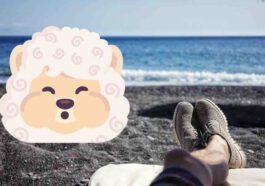 Mindllama : l'application de relaxation pour iPhone qui casse tous les codes