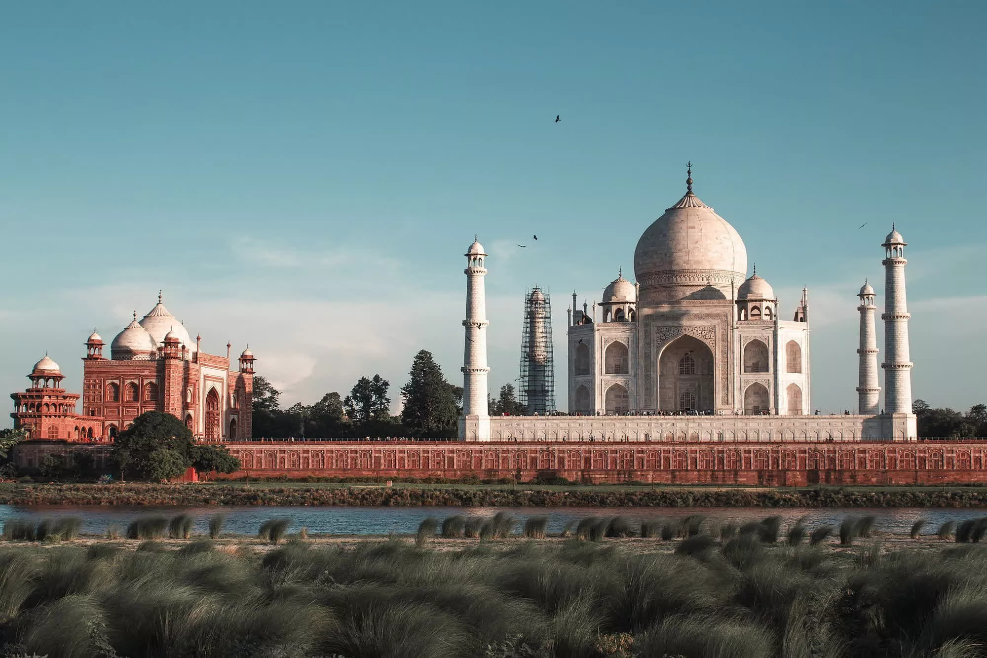 NVIDIA explore un partenariat avec l'Inde pour le développement de puces IA personnalisées 2 NVIDIA explore un partenariat avec lInde pour le developpement de