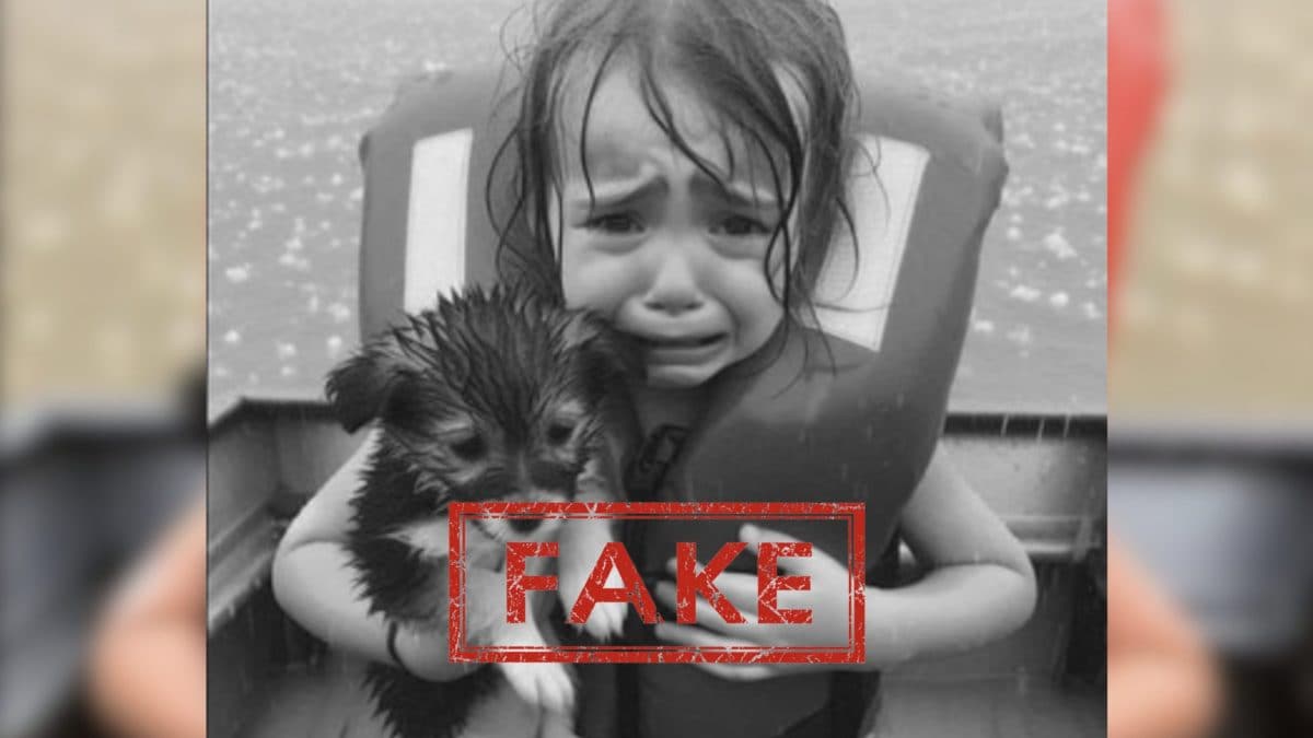 Ouragan Milton, pas tout ce que nous voyons est vrai : l'histoire de la petite fille qui pleure avec le chien 2 Immagine
